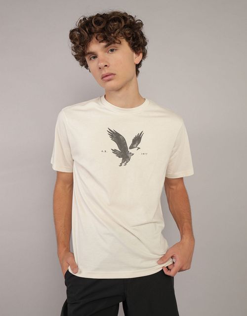 Camiseta manga corta con gráfico de hombre AE