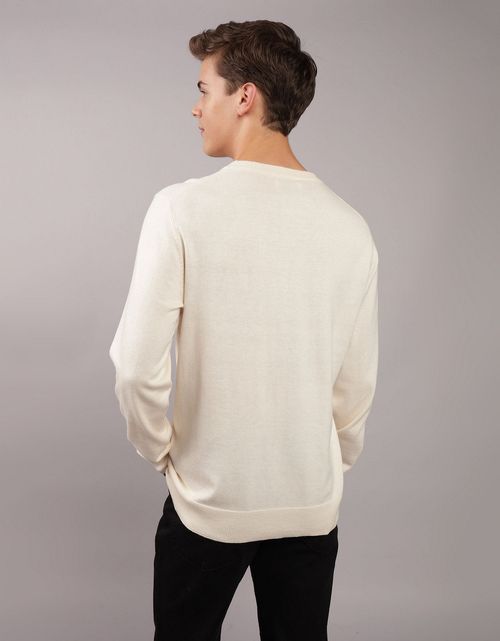 Buzo cuello redondo Manga Larga Hombre AE