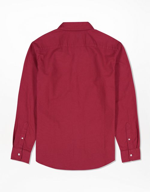 Camisa Slim fit Ae Oxford con botones