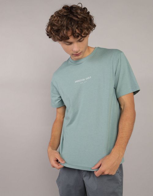 Camiseta manga corta con gráfico de hombre AE